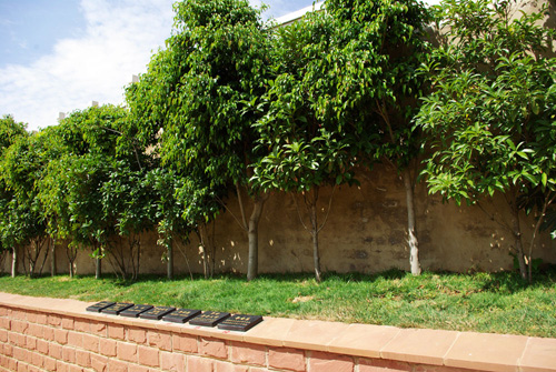 1449645056331301.jpg dazang5.jpg